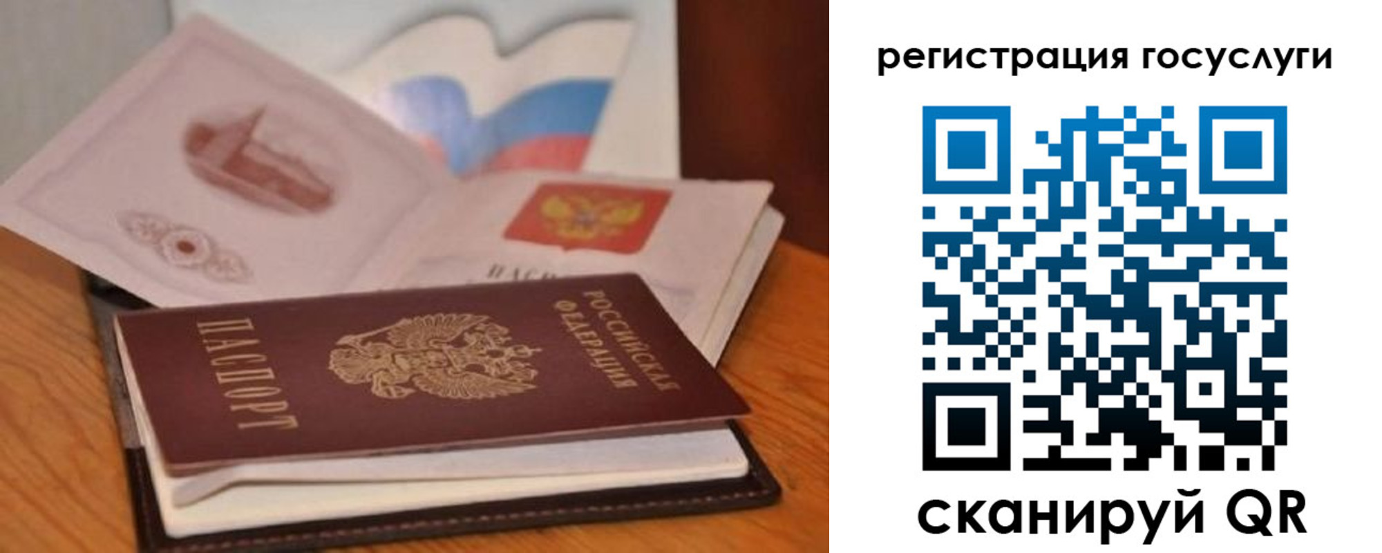 прописка законно в Новозыбкове